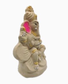 Ecofriendly Ganesha