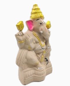 Ecofriendly Ganesha