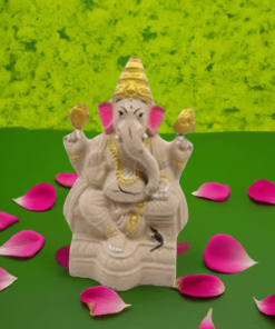 Eco-friendly-Ganesha-Idol-with-Right-Trunk--8-inch