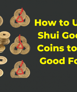 Feng Shui Three Lucky Bronze Metal Coins - Puja N Pujari