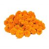 Loose Marigold orange Flower