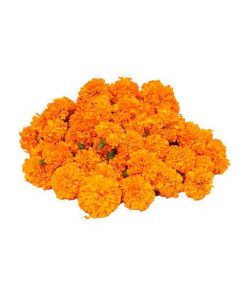 Loose Marigold orange Flower