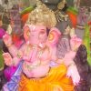 Eco Friendly Ganpati Idol Made Up of Paper & Ganesha idol big Size 7.5 Feet