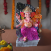 8ft eco ganesha 14